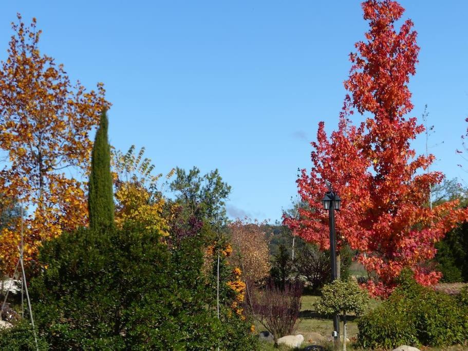 Puentedura Hotel Albergue Bioclimatico Sabinares Del Arlanza מראה חיצוני תמונה