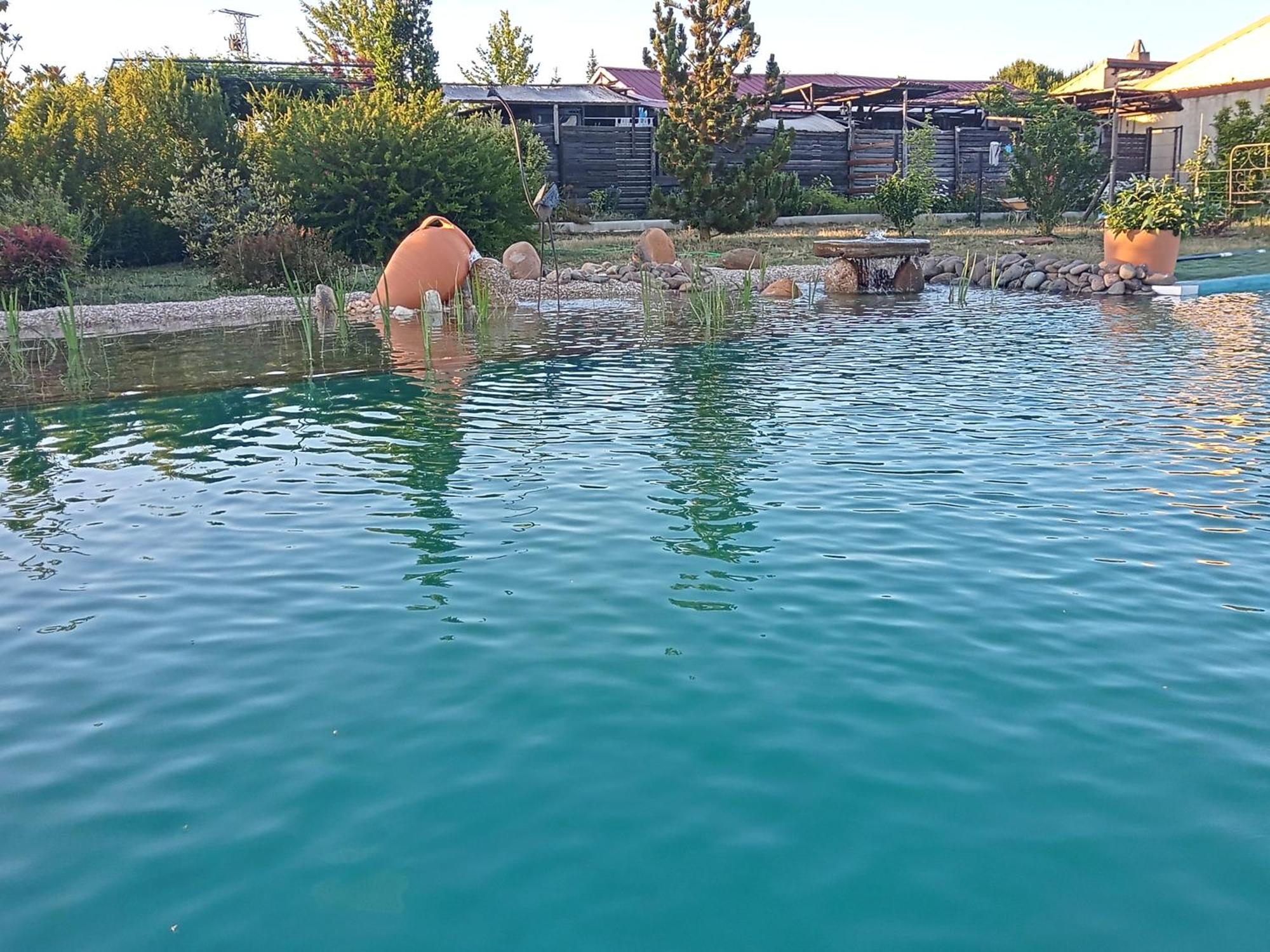 Puentedura Hotel Albergue Bioclimatico Sabinares Del Arlanza מראה חיצוני תמונה