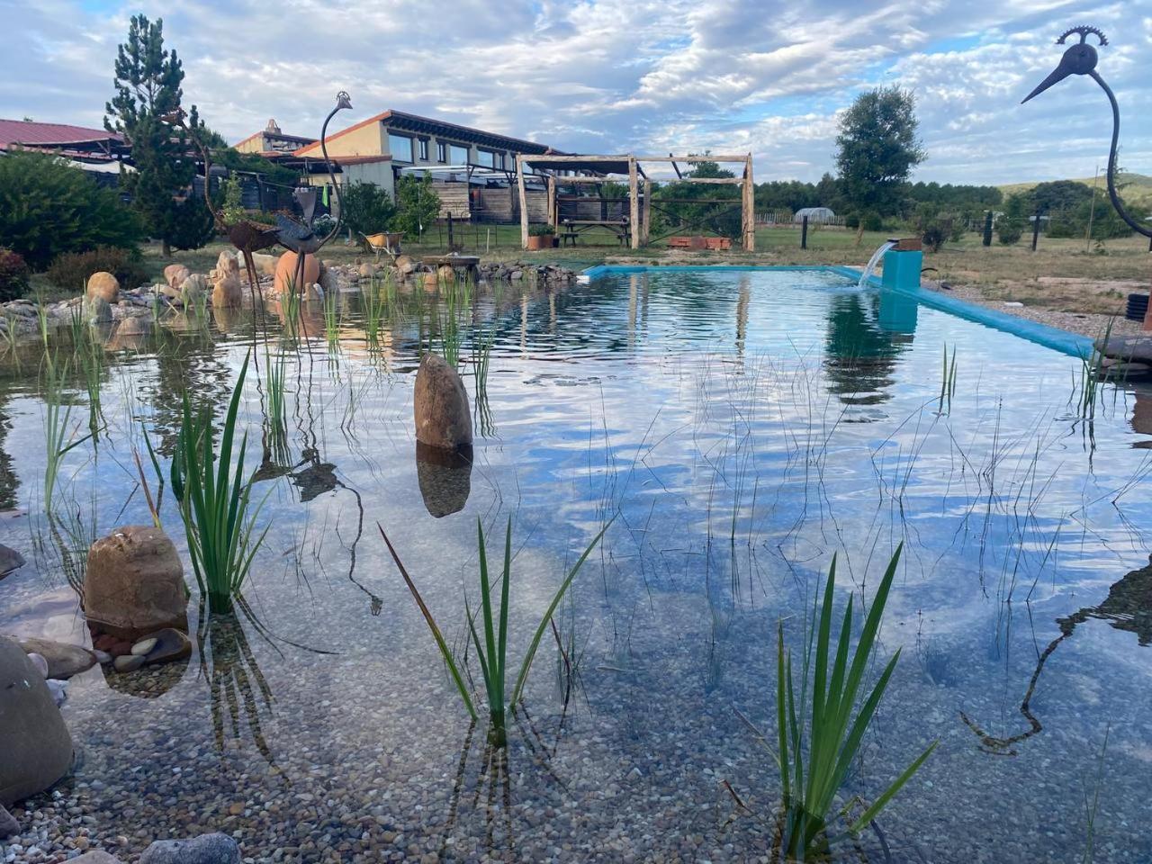Puentedura Hotel Albergue Bioclimatico Sabinares Del Arlanza מראה חיצוני תמונה